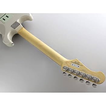 Amazon | フジゲン フジゲン NST11RALM-VWH/02 Neo Classic